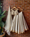 Grey Raw Silk Lehenga Set - indian dresses