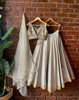 Grey Raw Silk Lehenga Set - indian dresses