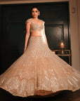 Chrome Lehenga Set - lehenga USA