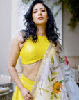 Yellow Lehenga Set with Hand Painted Dupatta - lehenga