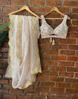 Mauve Organza Saree with Mirror Work Blouse - organza saree USA