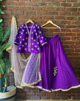 Purple Raw Silk Hand Embroidered Lehenga Set - embroidered lehenga