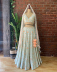 Mint 3D Embroidered Lehenga Set - design lehenga design