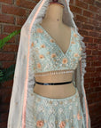 Mint 3D Embroidered Lehenga Set - design lehenga design