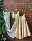 Beige Hand Painted and Hand Embroidered Lehenga Set - embroidered lehenga USA