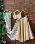 Beige Hand Painted and Hand Embroidered Lehenga Set - embroidered lehenga USA
