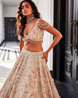 Ivory Organza Embroidered Set - indian dresses