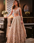 GREY SPARKLE Dusty Peach Embroidered Organza Lehenga Set - lehenga dress