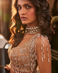 Gold Embroidered Organza Lehenga Set - indian wear for women