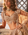 Gold Embroidered Organza Lehenga Set - indian wear for women