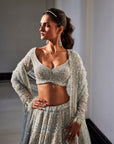 ENIGMA Ice Blue Embroidered Organza Lehenga Set - indian embroidered dress