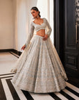 ENIGMA Ice Blue Embroidered Organza Lehenga Set - indian embroidered dress