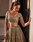 Aqua Organza Embroidered Set - lehenga