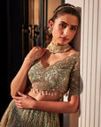 Aqua Organza Embroidered Set - lehenga