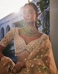 Ivory Organza Embroidered Set - ladies indian outfits