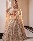 Ivory Organza Embroidered Set - ladies indian outfits