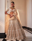 Ivory Organza Embroidered Set - ladies indian outfits
