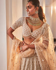 Ivory Organza Embroidered Set - ladies indian outfits