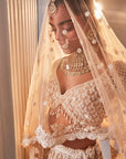 Ivory Organza Embroidered Set - ladies indian outfits