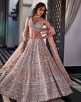TURQUIOSE Dusty Brown Embroidered Lehenga Set - lehenga lehenga choli