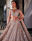 TURQUIOSE Dusty Brown Embroidered Lehenga Set - lehenga lehenga choli