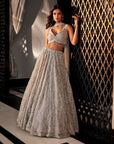 Grey Embroidered Organza Kashfi Bling Lehenga Set - lehenga choli lehenga choli