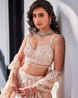 Pink Embroidered Organza Veda Lehenga Set - lehenga choli choli