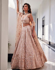 Pink Embroidered Organza Veda Lehenga Set - lehenga choli choli