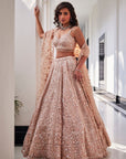 Pink Embroidered Organza Veda Lehenga Set - lehenga choli choli