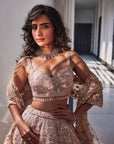 Pink Embroidered Organza Veda Lehenga Set - lehenga choli choli