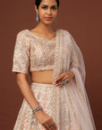 Peach Raw Silk Lace and Resham Embroidered Lehenga - lehenga choli Canada