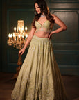 Pistachio Green Lehenga Set - lehenga Sydney