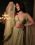 Pistachio Green Lehenga Set - lehenga Sydney