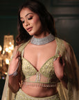 Pistachio Green Lehenga Set - lehenga Sydney