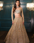 Light Gold Lehenga Set - golden lehenga New Zealand
