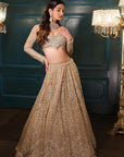 Light Gold Lehenga Set - golden lehenga New Zealand
