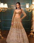 Ombre Gold Silver Lehenga - lehenga choli New Zealand