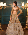 Ombre Gold Silver Lehenga - lehenga choli New Zealand