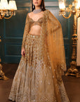 Ombre Gold Silver Lehenga - lehenga choli New Zealand