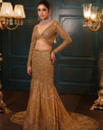 Celeste Gold Fishcut Lehenga Set - golden lehenga New Zealand