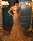 Celeste Gold Fishcut Lehenga Set - golden lehenga New Zealand