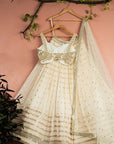 Ivory Radiant Sequin Lehenga with Mirrorwork Blouse Set - lehenga choli Canada