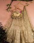 Nude Gold Sequin Lehenga Set - lehenga Canada