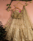 Nude Gold Sequin Lehenga Set - lehenga Canada