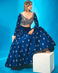 Navy Blue Lehenga Set - blue lehenga