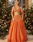 Maple Rust Lehenga Set