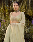 Mistara Lehenga Set