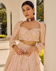 Misty Haze Lehenga Set
