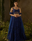 Moonlit Lehenga Set
