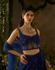 Moonlit Lehenga Set